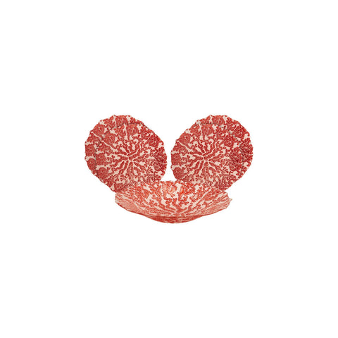 Karaca Home Coral 5-delige set decoratieve fruitschaaltjes