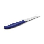 Dr Inox Steak Knife, Blue